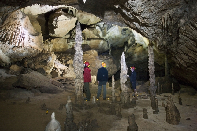 Cueva Palomera  / ÁNGEL AYALA