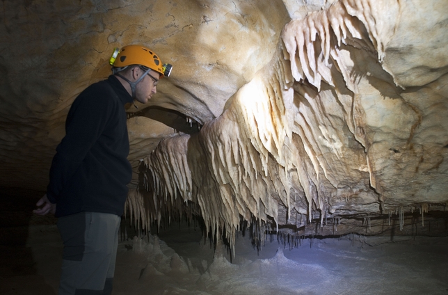 Cueva Palomera  / ÁNGEL AYALA