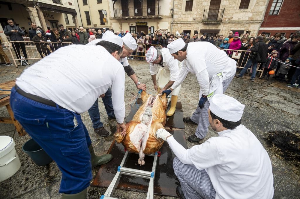 Diario de Burgos