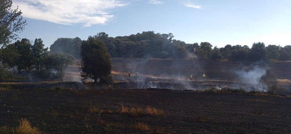 Las llamas se han originado en un terreno junto al camino hacia Cebrecos, cerca de Tordueles. 
