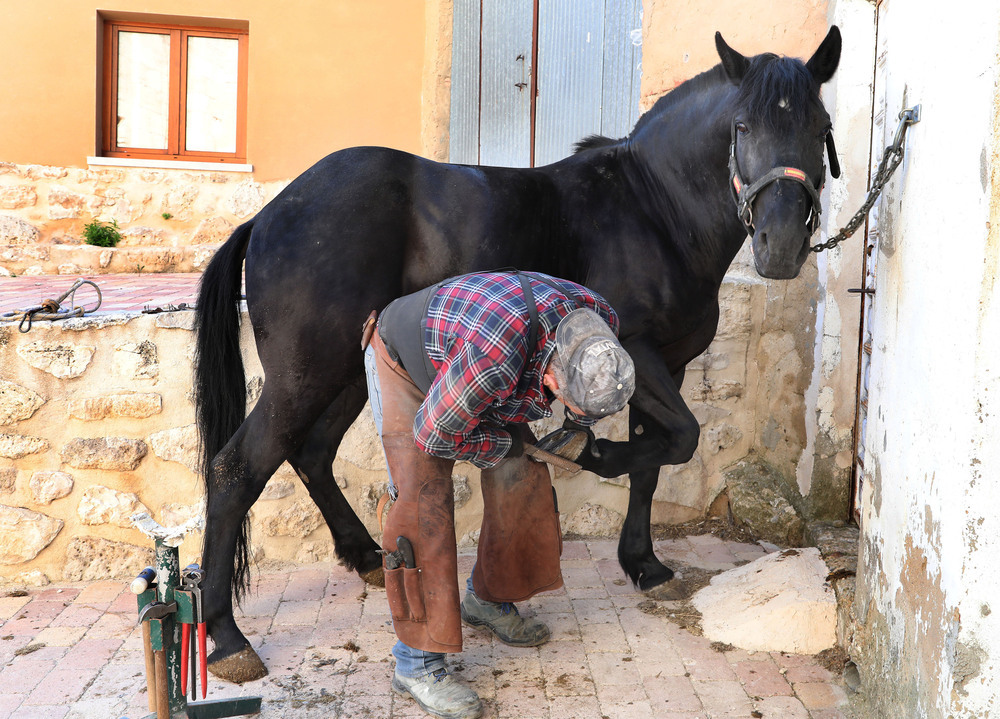 Rebajas zapatos best sale el caballo