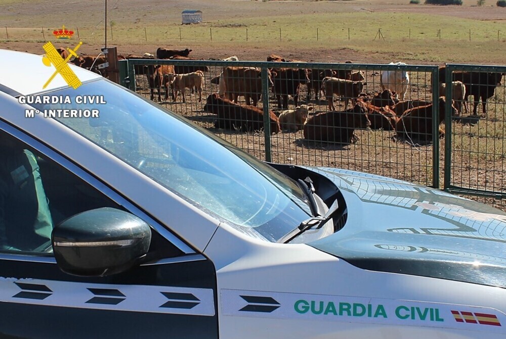 La Guardia Civil detiene a una persona por estafa en la comp