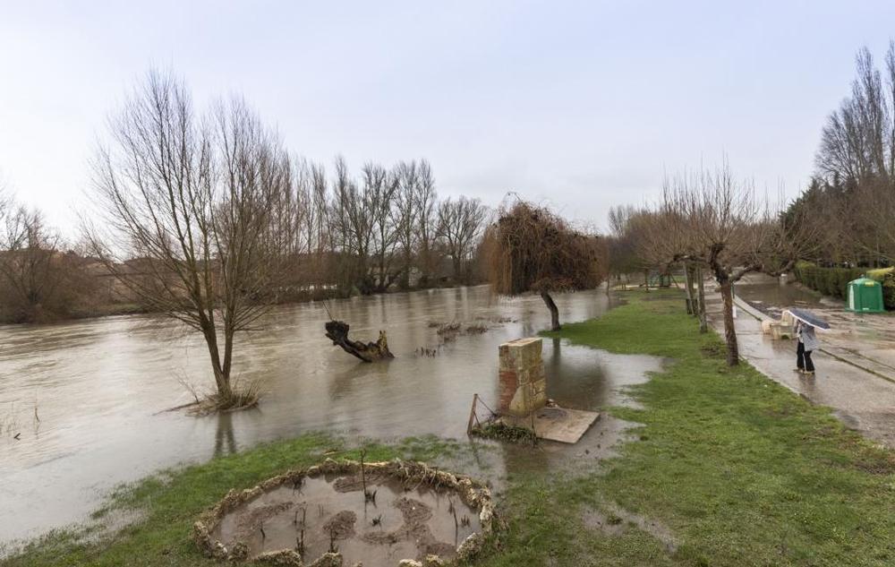 Río Arlanzón en Pampliega  / PATRICIA