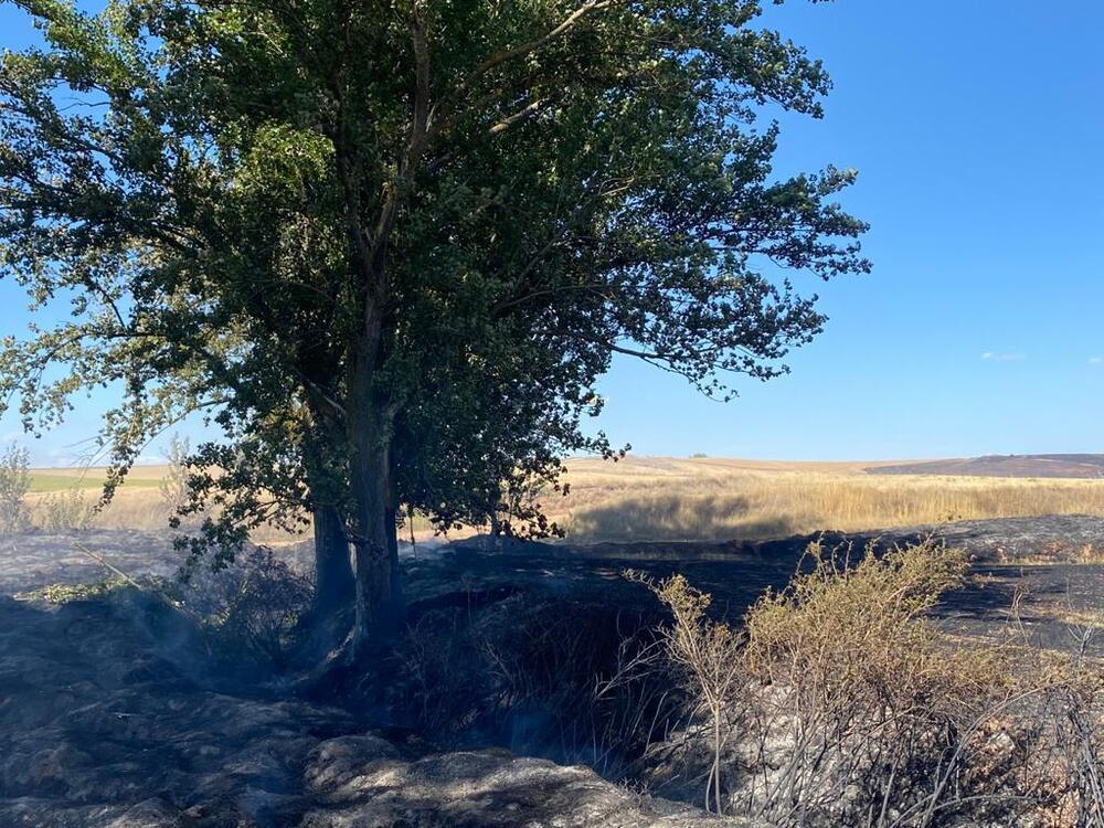 Zona afectada por el incendio, que se ha extendido a lo largo de 19,5 hectáreas.