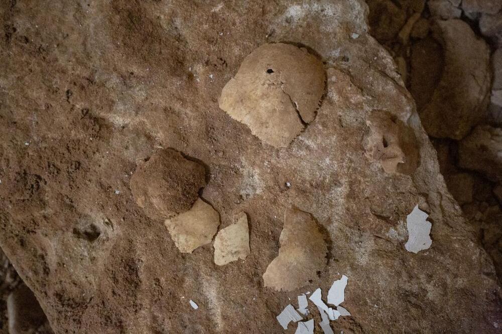 Restos de cráneos procedentes de las tumbas profanadas de la iglesia.  / VALDIVIELSO