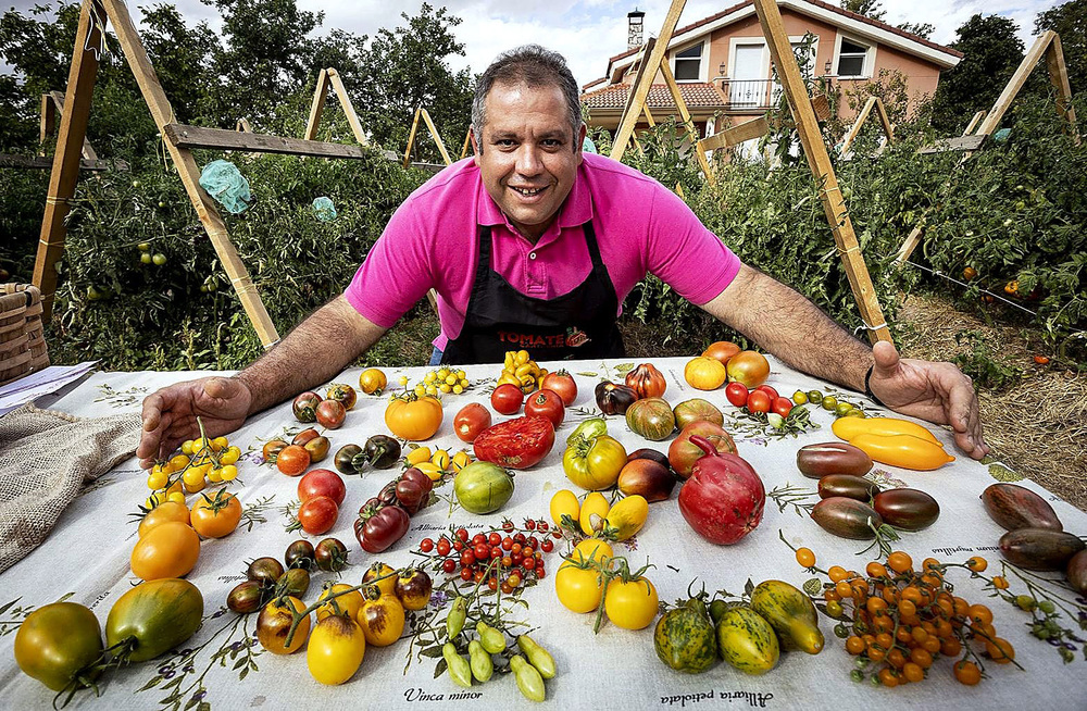 Antonio Ramírez, De Pedrosa De Muñó, El Nuevo Rey Del Tomate | Noticias ...