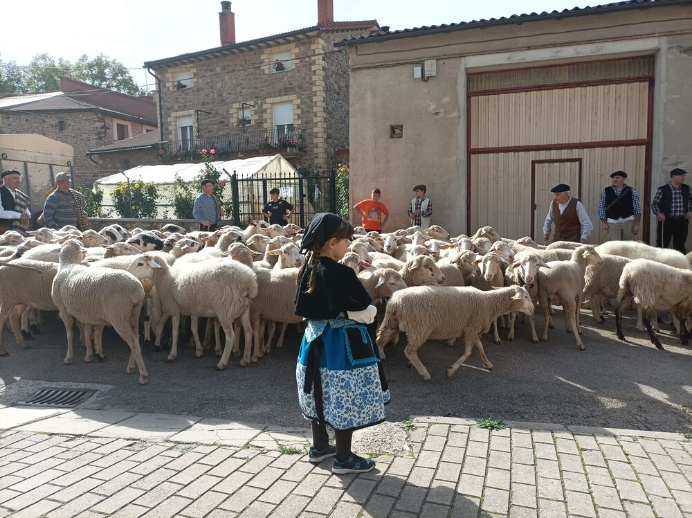 Diario de Burgos