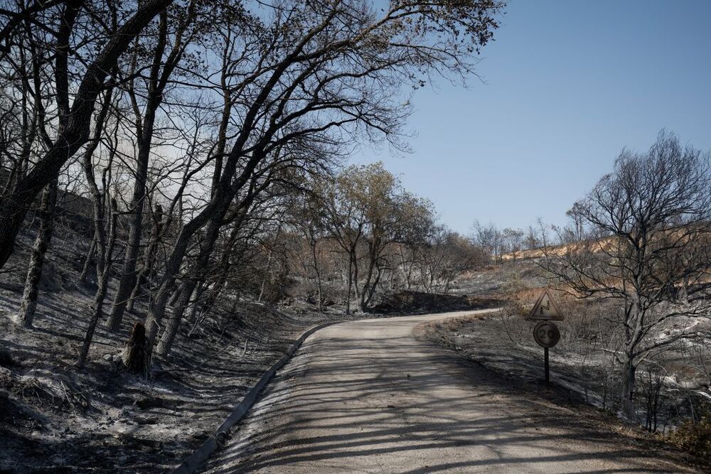 Cataluña sufre treintena de incendios simultáneos