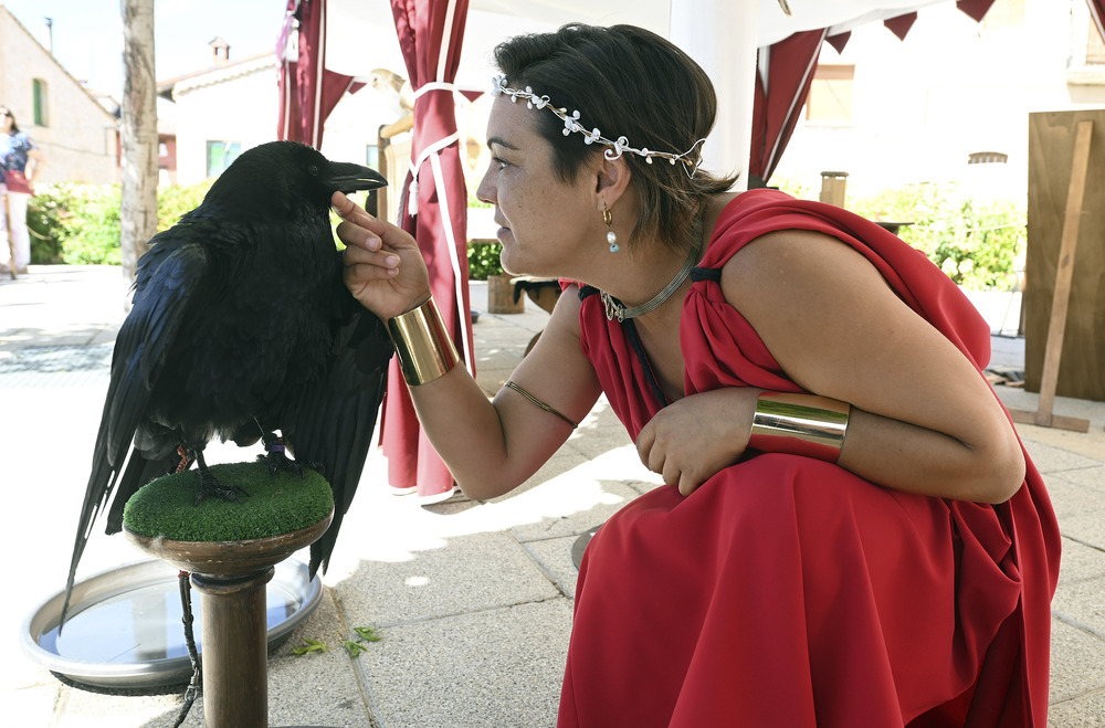 Fiesta Romana en Honor al Dios Baco en Baños de Valdearados.  / RICARDO ORDÓÑEZ (ICAL)