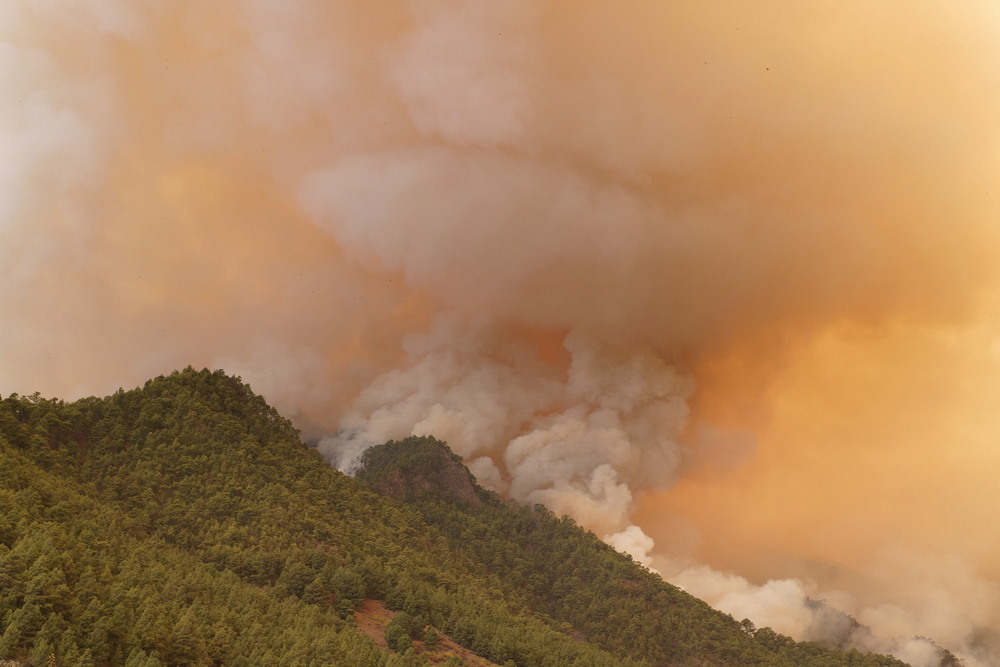 La superficie afectada por el incendio de Tenerife alcanza las 800 hectáreas  / AGENCIAS