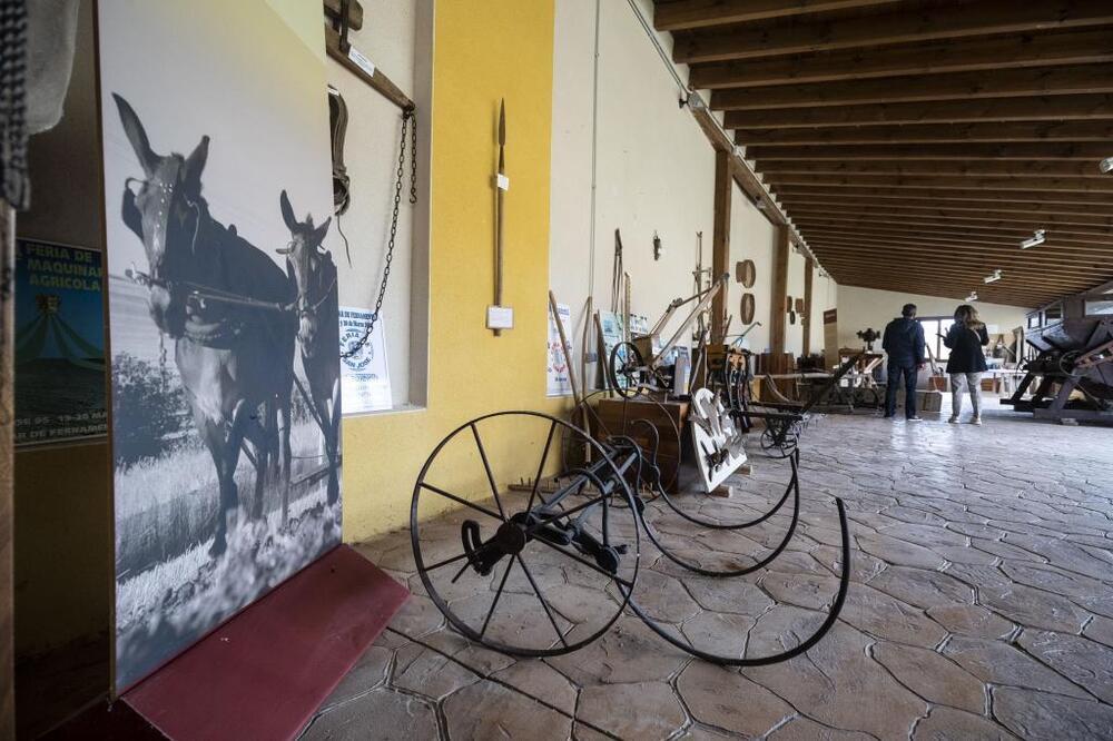 El Museo Etnográfico de Melgar está instalado en la Casa de los Palazuelos.