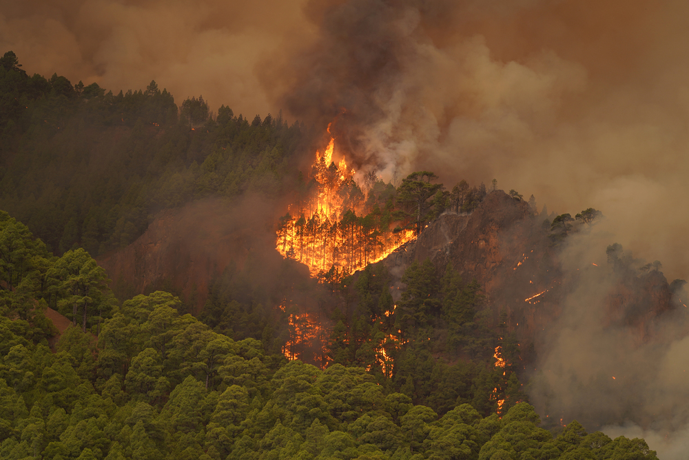 El incendio en Tenerife obliga a evacuar cuatro municipios