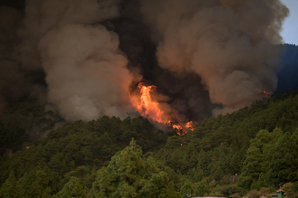 El incendio en Tenerife obliga a evacuar cuatro municipios  / AGENCIAS