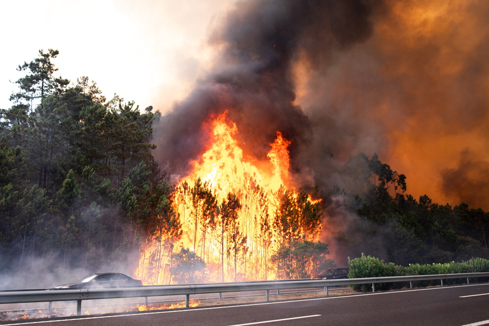 forest fire cuts A1 highway in Leiria, Portugal  / EFE