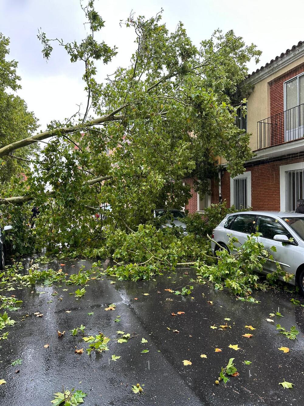 Estragos por una tormenta en Aranda