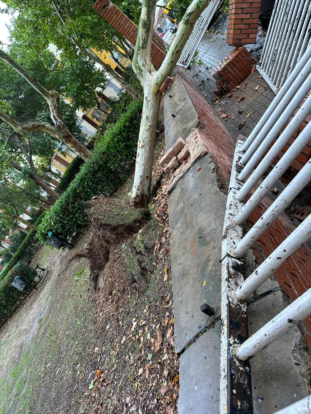 Estragos por una tormenta en Aranda