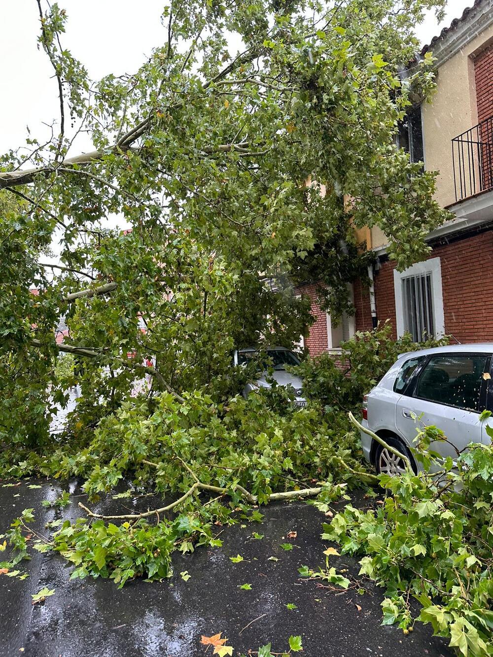 Estragos por una tormenta en Aranda