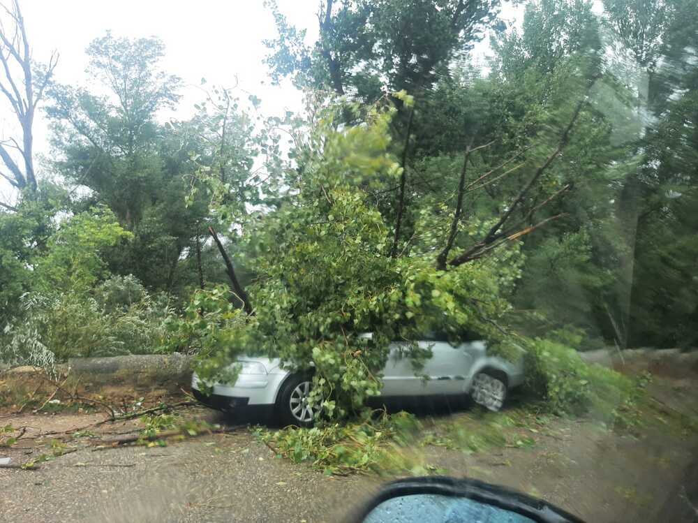 Estragos por una tormenta en Aranda