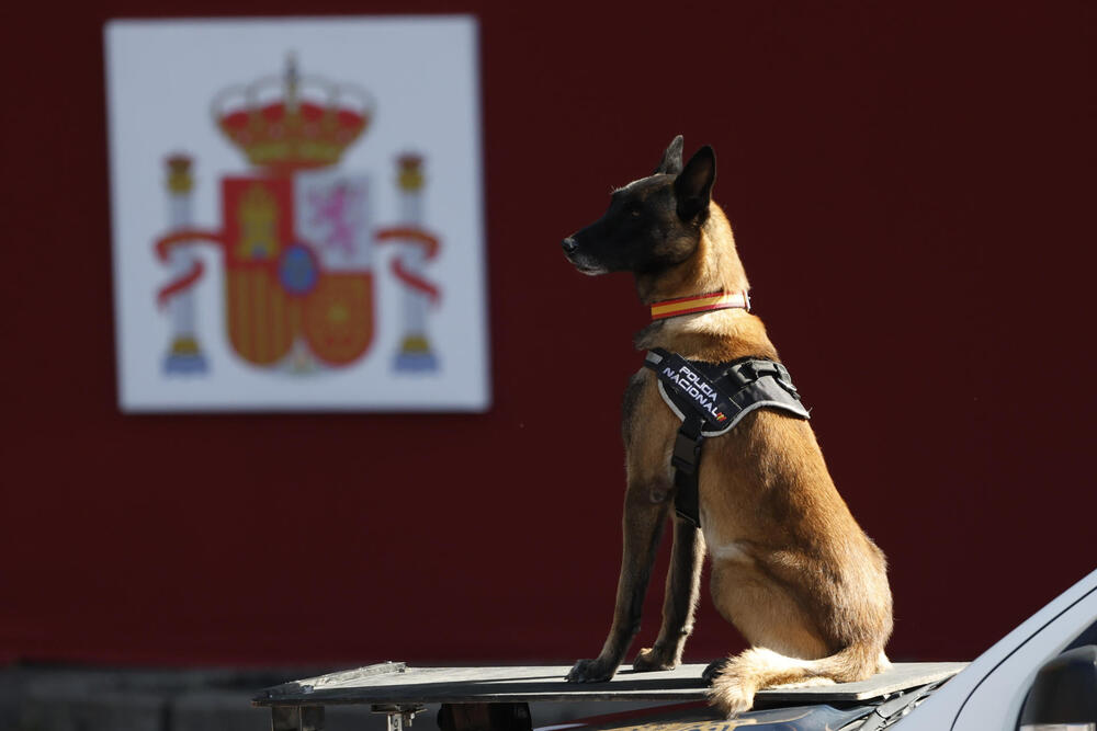 Desfile del Día de la Fiesta Nacional en Madrid  / DANIEL GONZÁLEZ