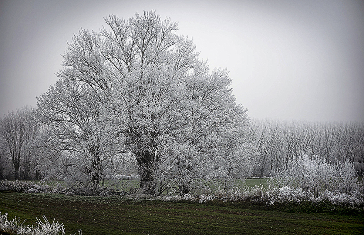 Hermosa imagen invernal.  / LUIS LÓPEZ ARAICO