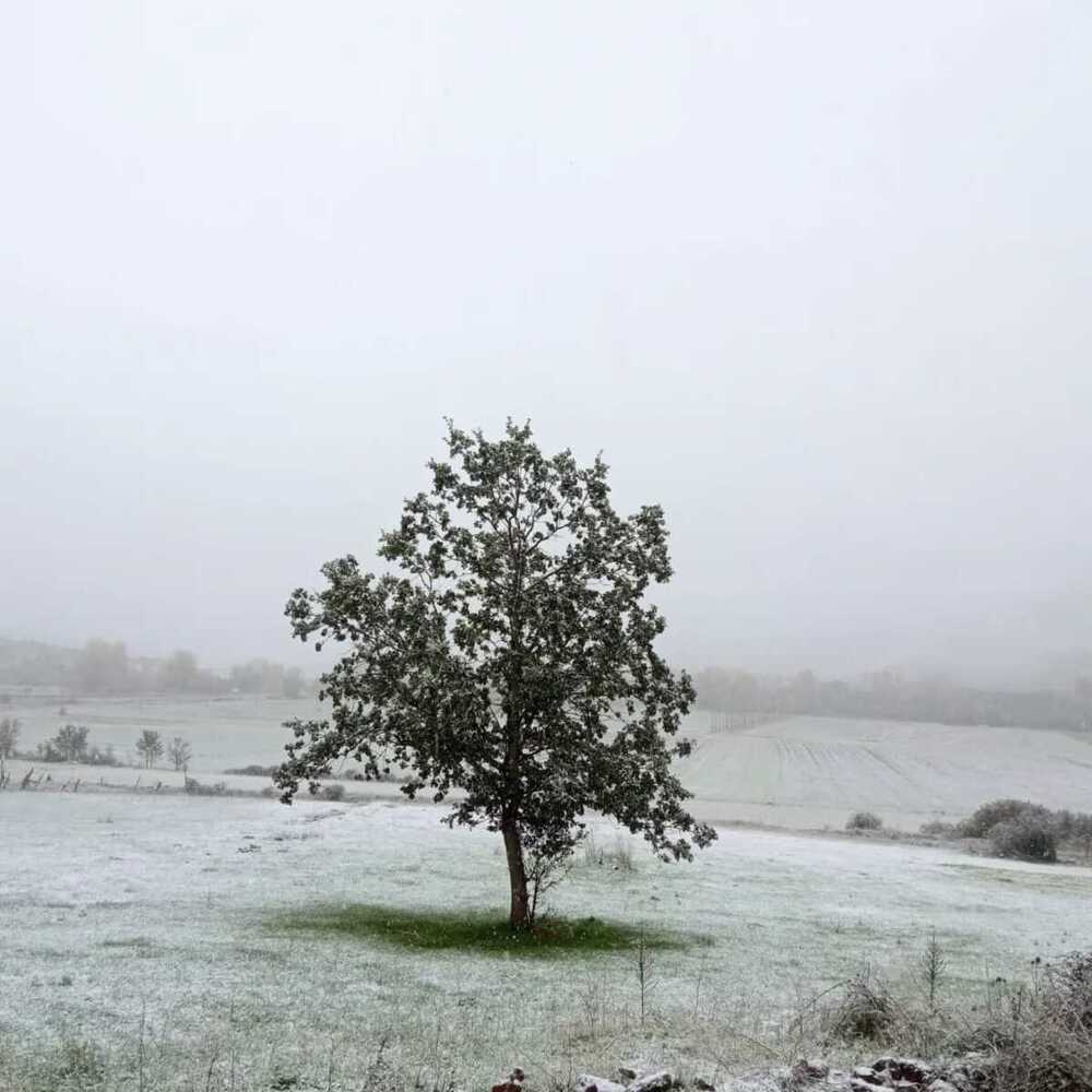 Los temporales de viento dan paso a las primeras nevadas