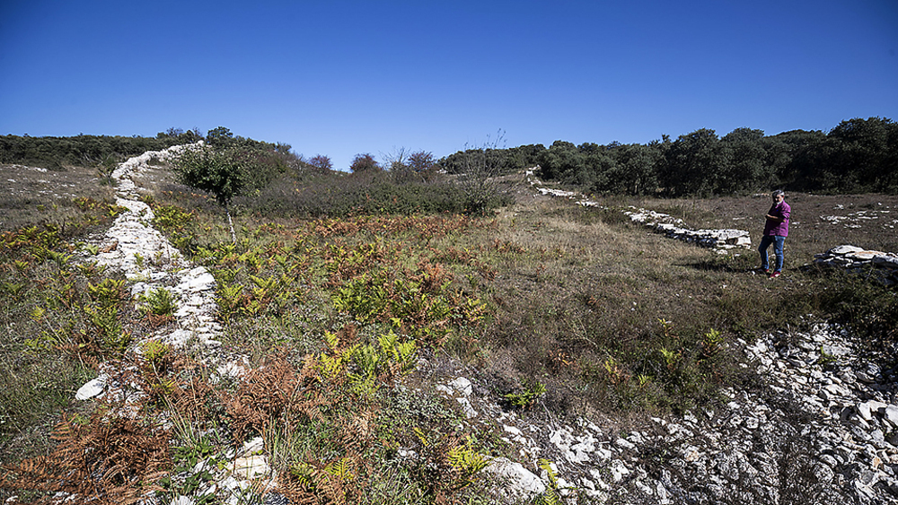 Panorámica desde el hoyo de ambas cercas de piedra que nacen arriba, en el monte.