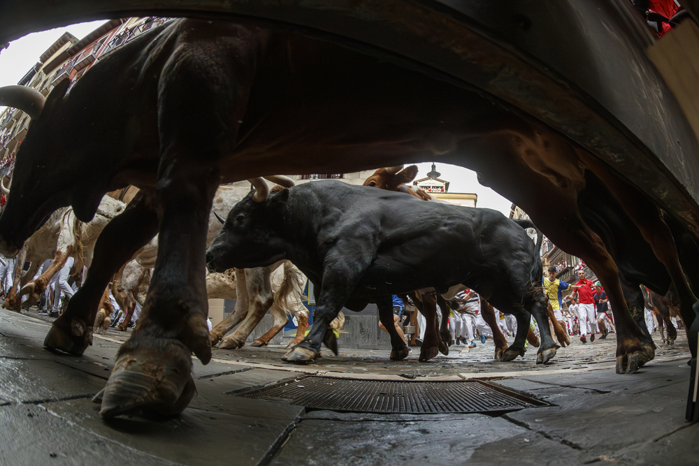 Primer encierro de los sanfermines 2023  / RODRIGO JIMENEZ