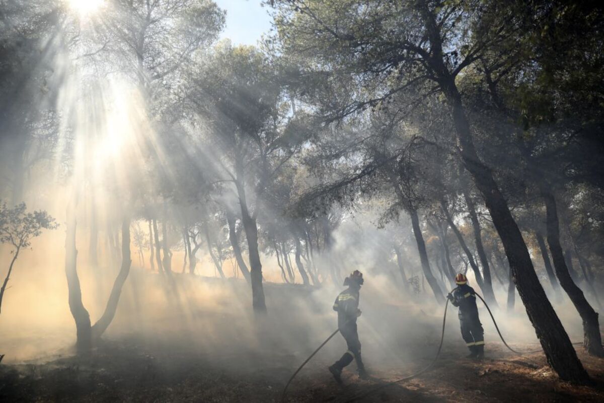 Se propaga un incendio forestal en la región griega del Ática  / GEORGE VITSARAS