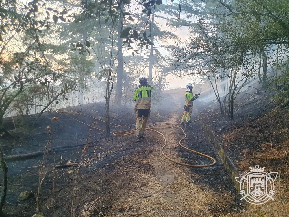 Una dotación de los Bomberos controló en alrededor de media hora las llamas que afectaron a unos 900 metros cuadrados de vegetación en el cerro del Castillo de Burgos.