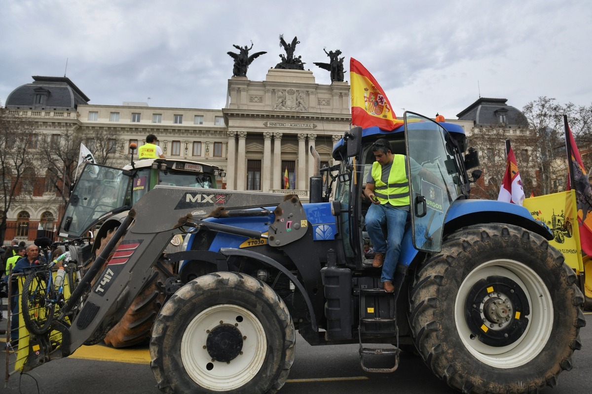 El campo burgalés se hace oír en Madrid.  / FERNANDO SÁNCHEZ (EUROPA PRESS)