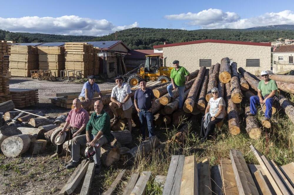 Replicarán un navío del siglo XVIII con madera de Quintanar 