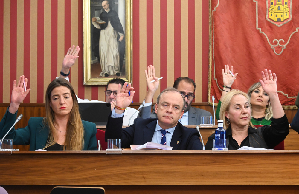 Pleno del Ayuntamiento de Burgos del 22 de noviembre.  / RICARDO ORDÓÑEZ (ICAL)