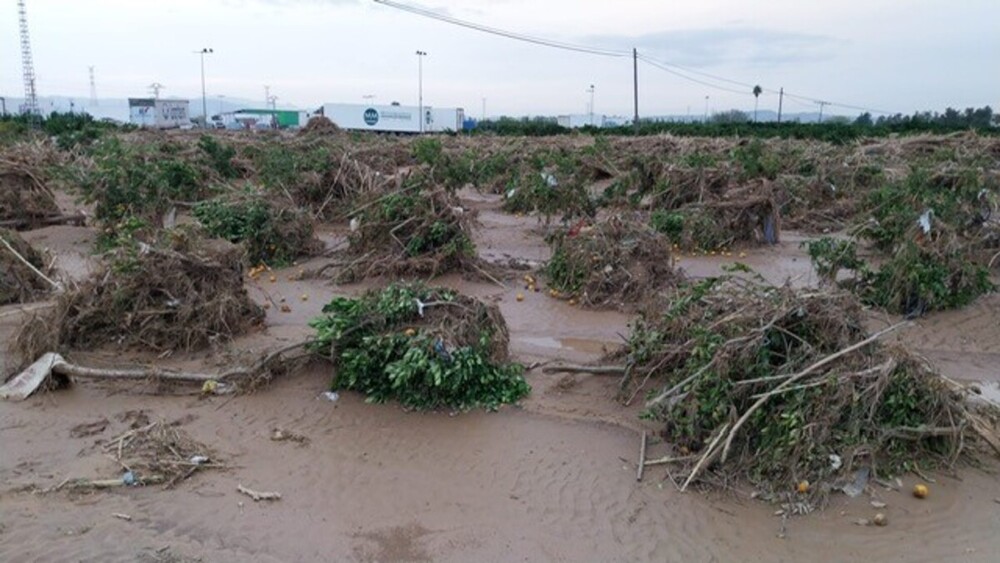 25.500 hectáreas afectadas y más de mil millones de pérdidas