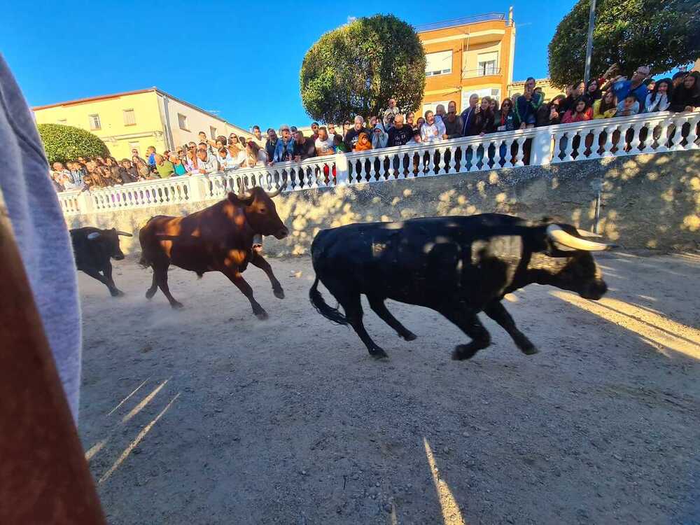 Los toros realizaron la carrera en manada.