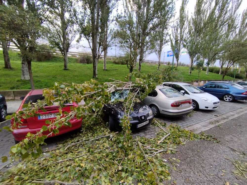 El temporal empieza a provocar los primeros estragos  / VALDIVIELSO