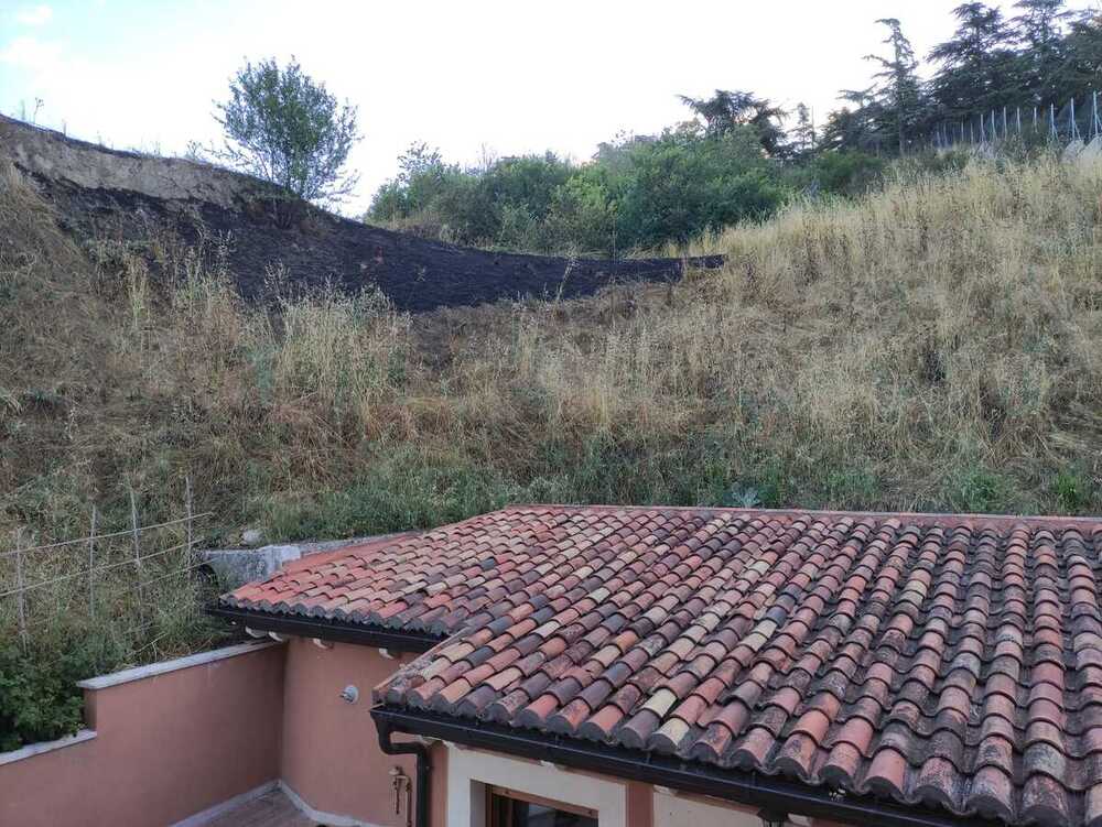 Incendio de maleza