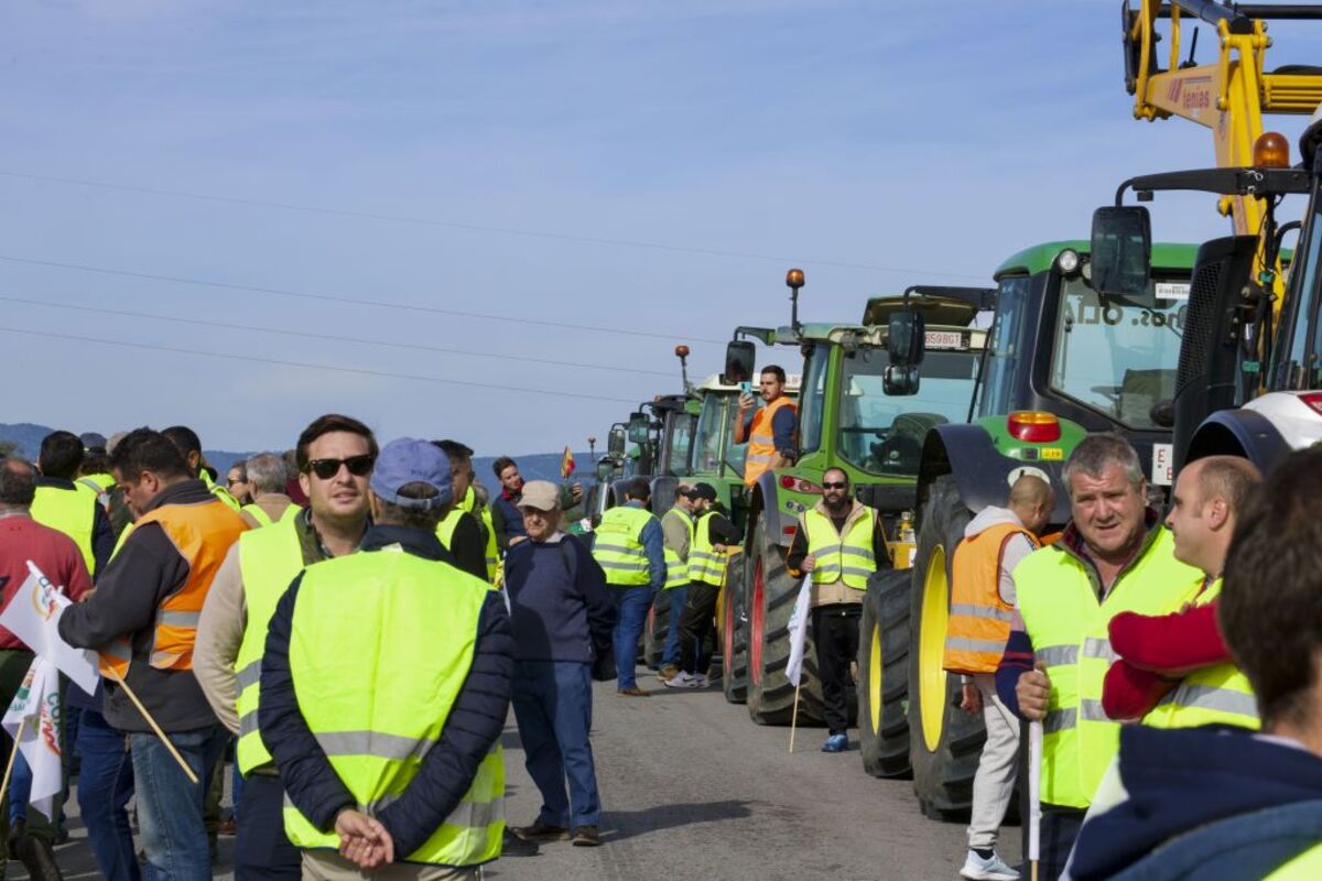 Centenares de agricultores cortan la entrada y salida a Andalucía en la A-4, en Jaén  / JOSÉ MANUEL PEDROSA