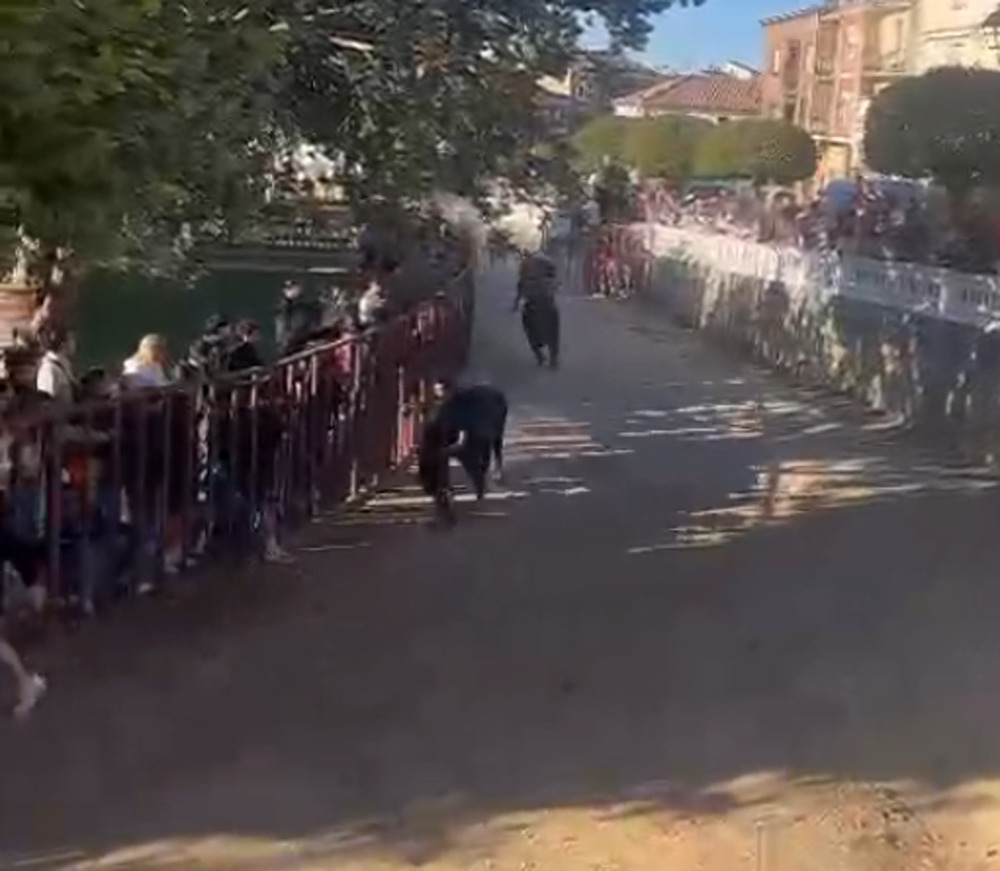 Momento en el que el joven ha sido arrollado por uno de los toros en el encierro de Roa. 