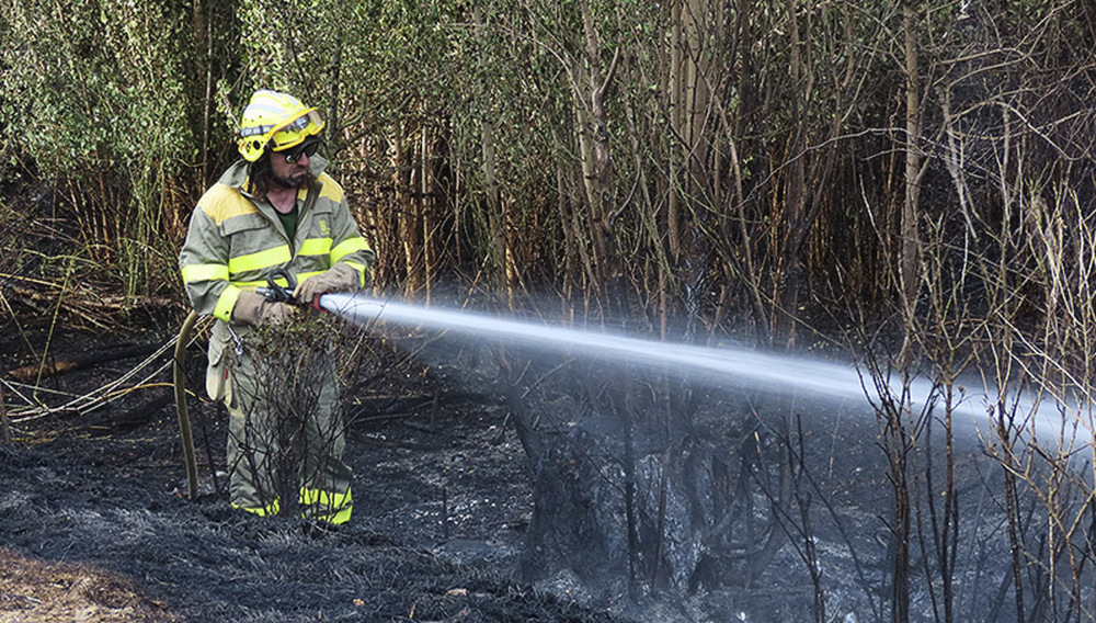 La mayoría de los incendios han afectado a terreno agrícola y pasto.