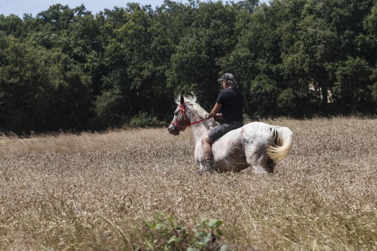 A caballo también se puede disfrutar del ciclismo.  / ALBERTO RODRIGO