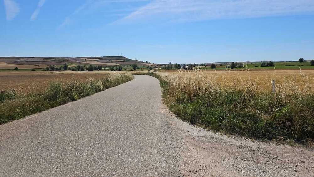 Las lluvias de primavera y del inicio del verano han hecho que la proliferación de maleza se descontrole.