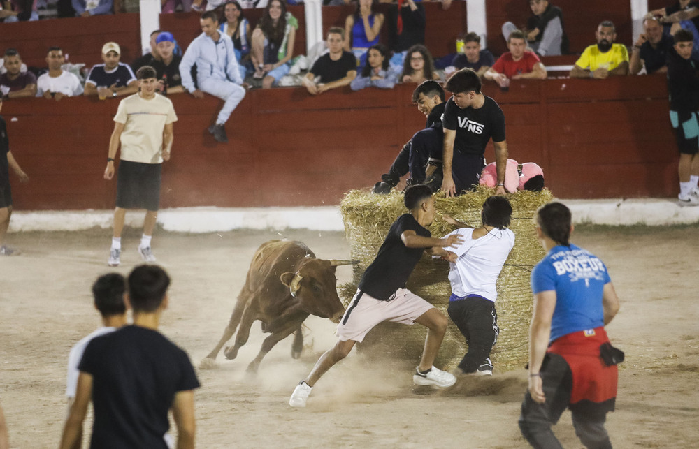 Furor por las vaquillas en Briviesca