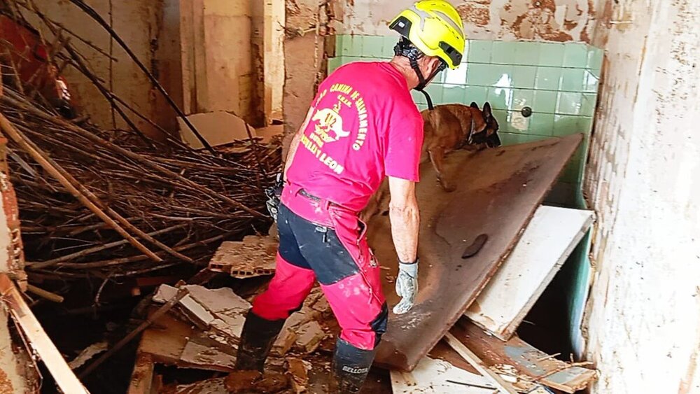 Labores de búsqueda de los voluntarios del GREM en tierras valencianas. 