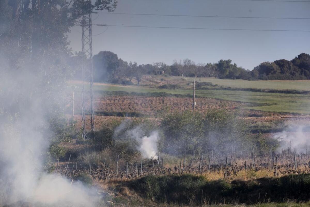 Cerca de Aranda algunos agricultores prendieron paja y sarmiento para mitigar el golpe.  / ALBERTO RODRIGO