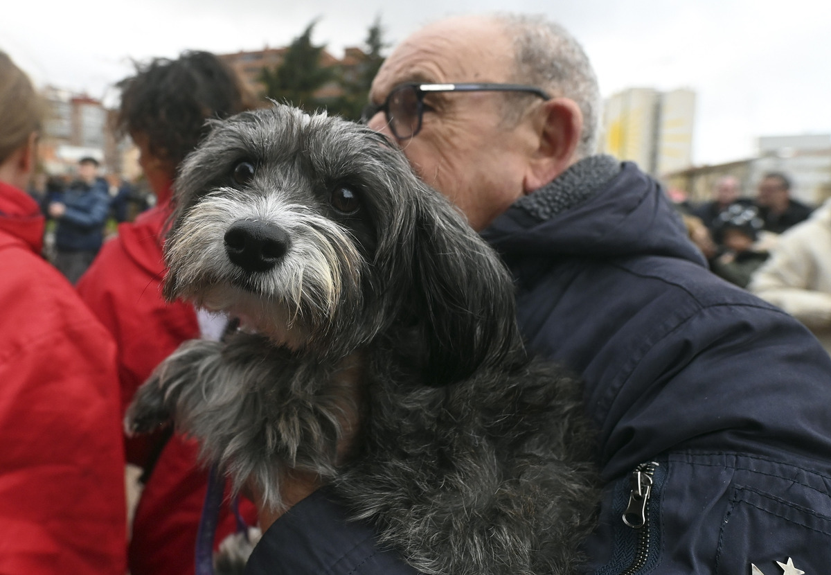 Celebración de la Festividad de San Antón y tradicional reparto de 'los titos'.  / RICARDO ORDÓÑEZ (ICAL)