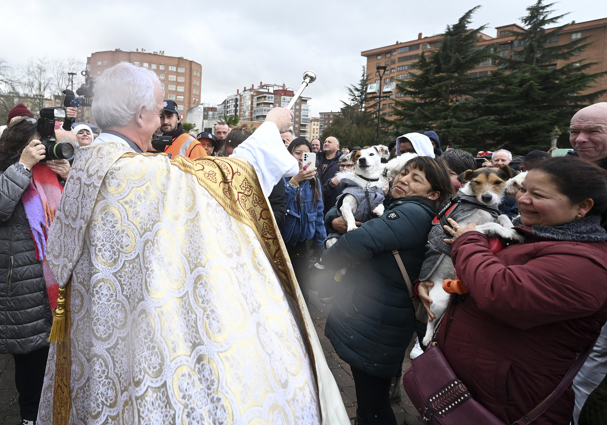 Celebración de la Festividad de San Antón y tradicional reparto de 'los titos'.  / RICARDO ORDÓÑEZ (ICAL)