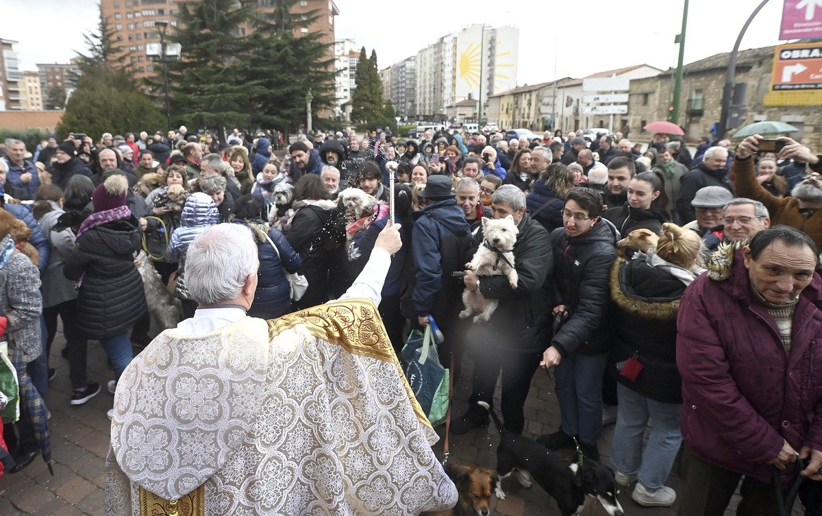 Celebración de la Festividad de San Antón y tradicional reparto de 'los titos'.  / RICARDO ORDÓÑEZ (ICAL)