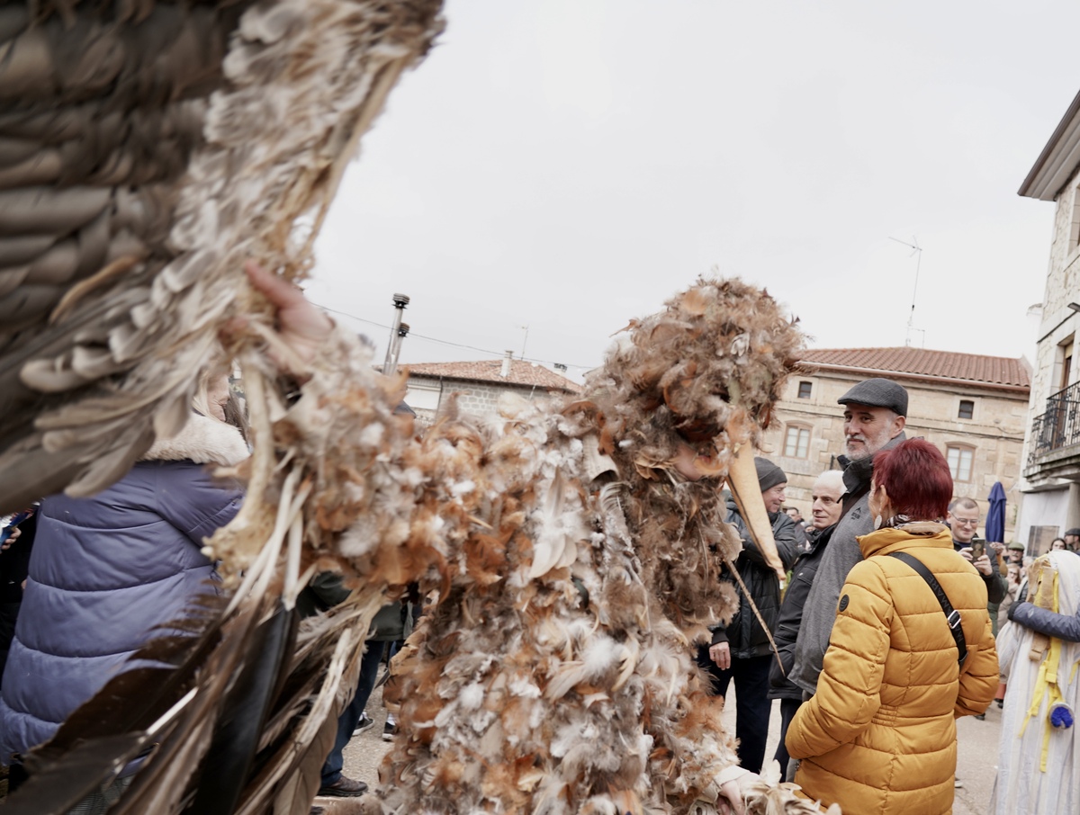 Carnaval de Mecerreyes (Burgos)  / EDUARDO MARGARETO ICAL