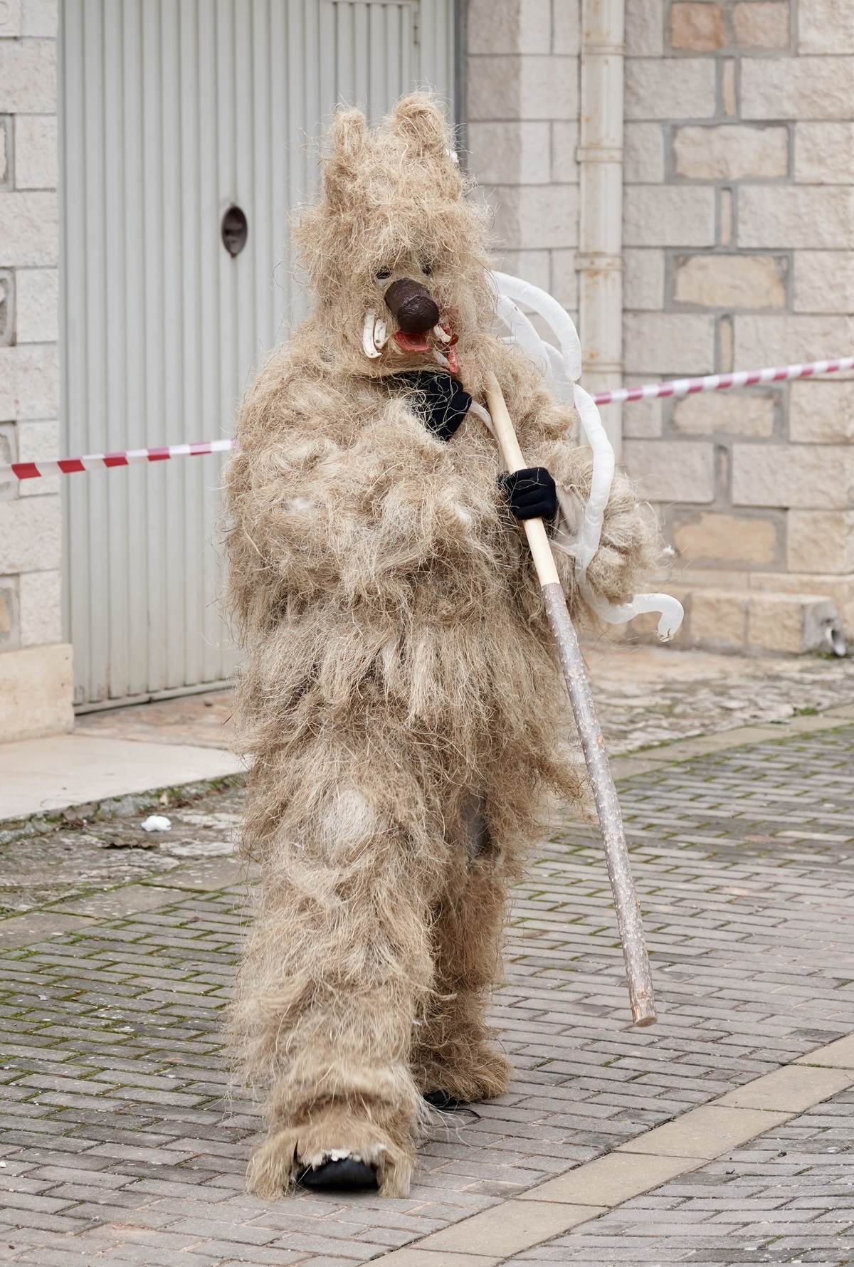 Carnaval de Mecerreyes (Burgos)  / EDUARDO MARGARETO ICAL