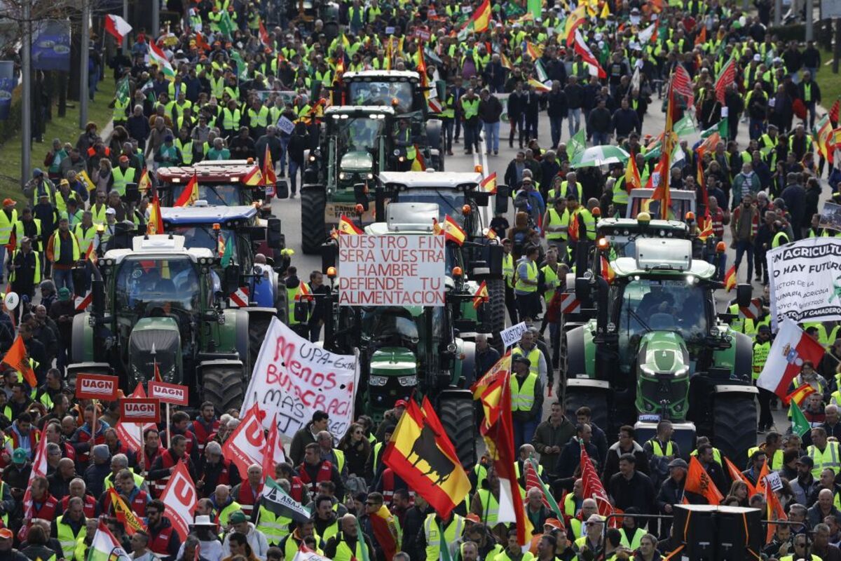 Marcha de agricultores en Madrid  / Diario de Burgos